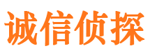 莱山侦探公司